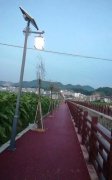 太陽(yáng)能庭院燈具有哪些作
